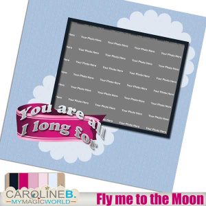 Fly me to the Moon QP15