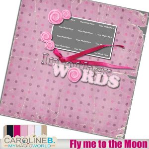 Fly me to the Moon QP17
