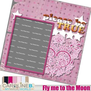 Fly me to the Moon QP18