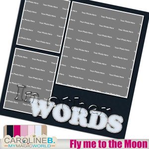 Fly me to the Moon QP19