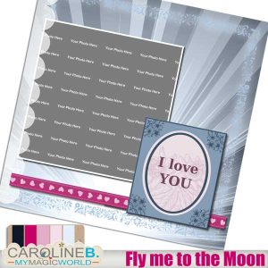 Fly me to the Moon QP20