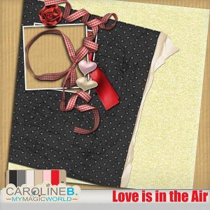 Love is in the Air QP04