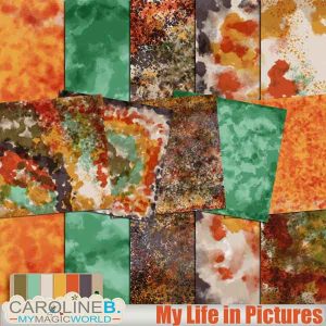 My Life in Pictures Art Papers