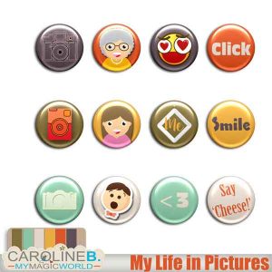 My Life in Pictures Flairs