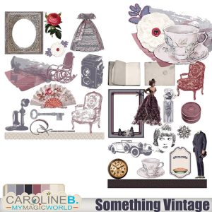 Something Vintage Embellishments Set