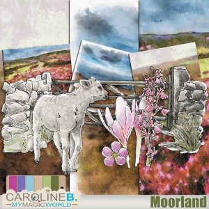 MoorLand Digital Scrapbooking