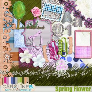 Spring Flower Full Kit
