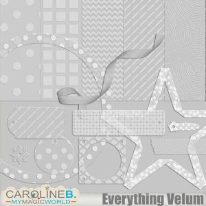 Everything Velum 1