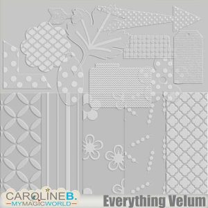 Everything Velum 2