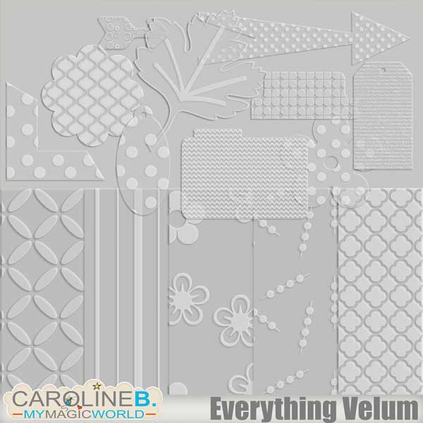 Everything Velum 2