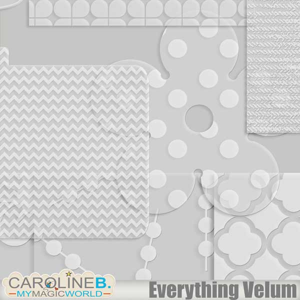 Everything Velum Bundle - Image 6