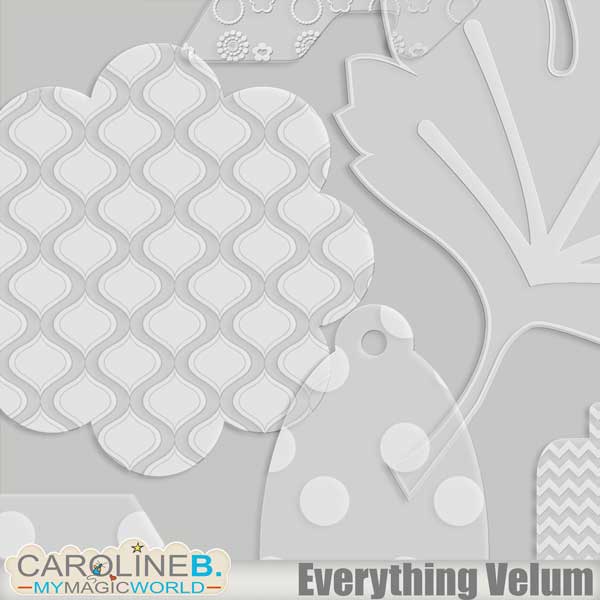 Everything Velum Bundle - Image 5