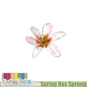 Spring has Sprung Hand Drawn Flower