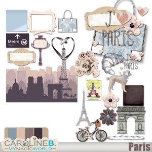 Paris Embellishments