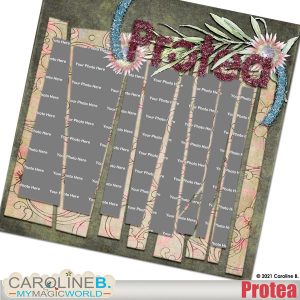 Proteae QP01