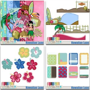 Hawaiian Luau Bundle