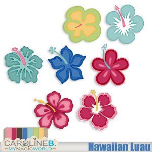 Hawaiian Luau Hibiscus