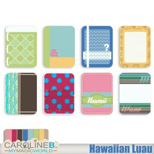 Hawaiian Luau Journal Cards