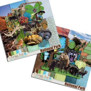 National Park Bundle