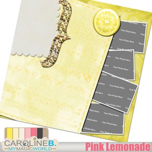 Pink Lemonade 12x12 QP02