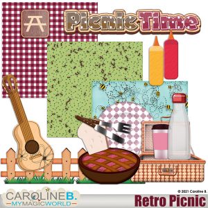 Retro Picnic