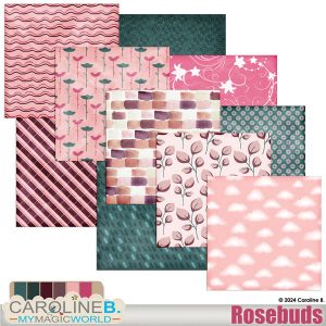 Rosebuds Papers 01