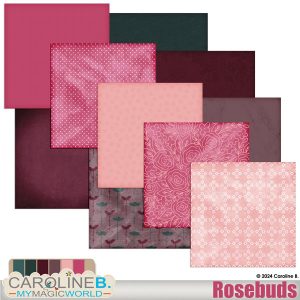 Rosebuds Papers 02