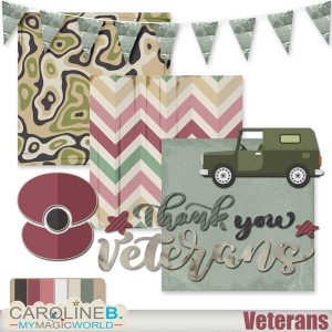 Veterans Mini 1