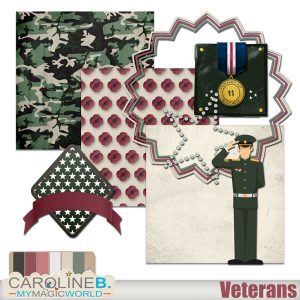 Veterans Mini 2