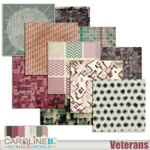 Veterans Papers 1 Multico