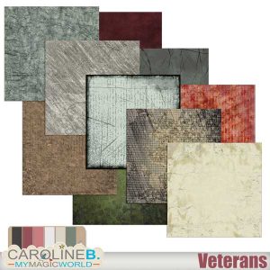 Veterans Papers 2 Grunge
