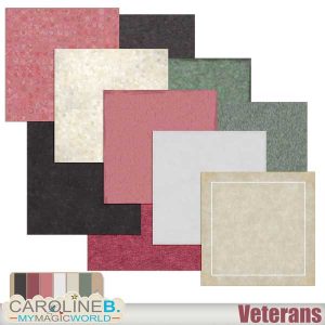 Veterans Papers 3 Solid