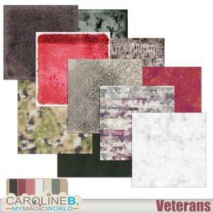 Veterans Papers 4 Artsy