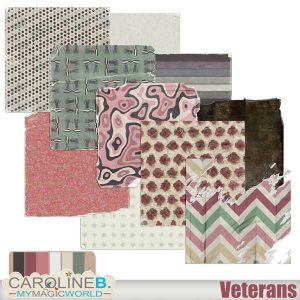 Veterans Papers 5 Worn