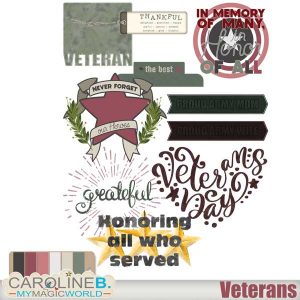 Veterans WA