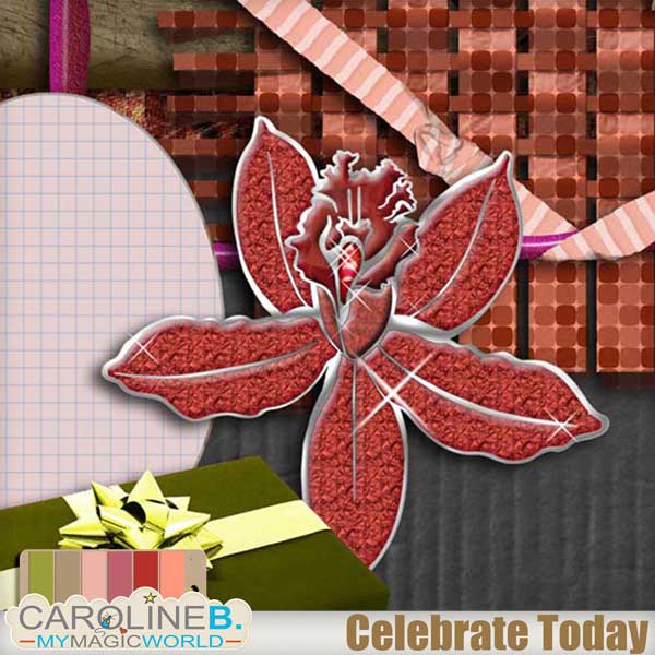 Celebrate Today - Image 5