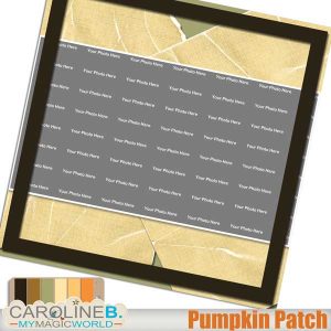 Pumpkin Patch QP11
