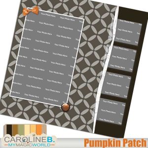 Pumpkin Patch QP12