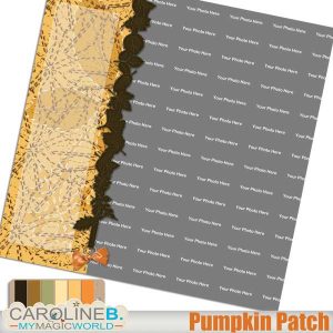 Pumpkin Patch QP14