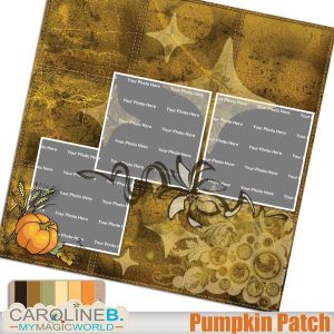 Pumpkin Patch QP16