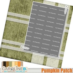 Pumpkin Patch QP20
