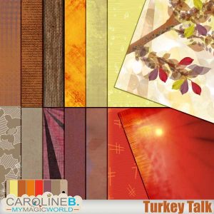Turkey Talk Papers