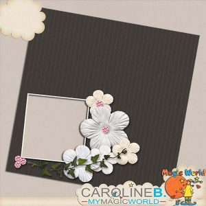 Your Heritage 2 12x12 QP02