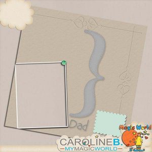 Your Heritage 12x12 QP11
