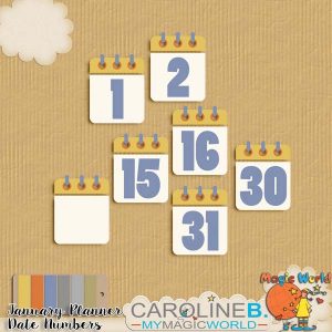 January Planner Date Numbers