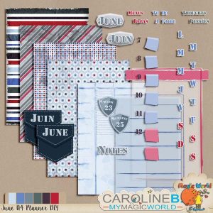 June A4 Planner Do-It-Yourself