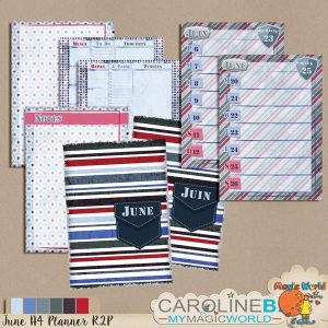 June A4 Planner Ready-2-Print