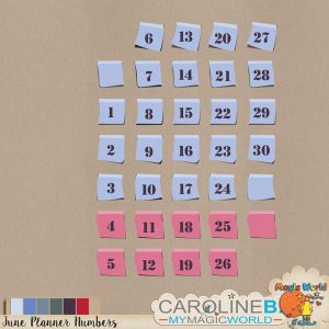 June Planner Numbers