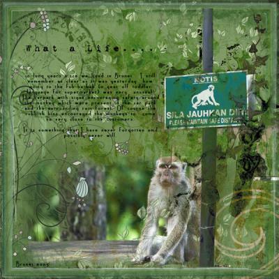 2005-May-What-a-Life