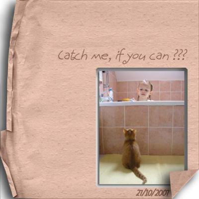 2008_099- CarolineB_SpecialPaperTorn_LO